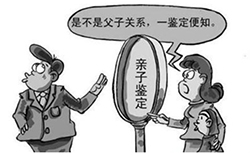 广东省亲子鉴定中心有几家，广东省办理亲子鉴定流程