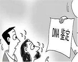 广东省到哪里能做DNA鉴定，广东省正规的DNA鉴定中心需要如何做